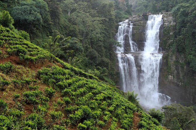 3 Days Nature and Chill Tour of Ella, Nuwara Eliya and Haputale - Why This 3-Day Nature-and-Chill Route Works