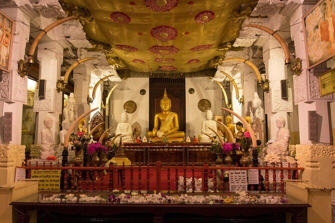 7-day tour in Sri Lanka - Key highlights you should know before you go