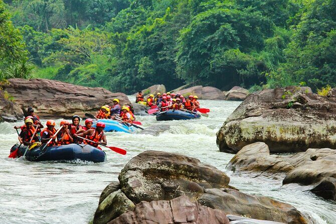 Adventure Experience A in Kitulgala - Price and Value: Getting More Than Just a Basic Raft