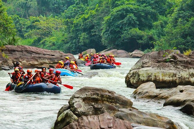 Adventure Experience N in Kitulgala - What safety gear and a pro guide really do for you