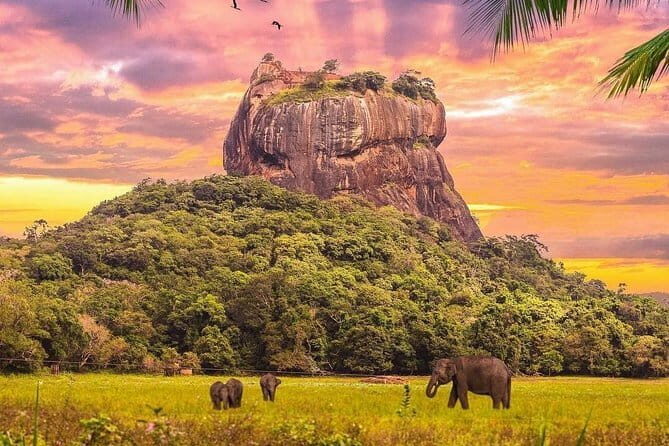 Discover Sigiriya Dambulla and Minneriya Park in Day Tour - Dambulla Cave Temple: five cave shrines and over 150 Buddha statues (1 hour)