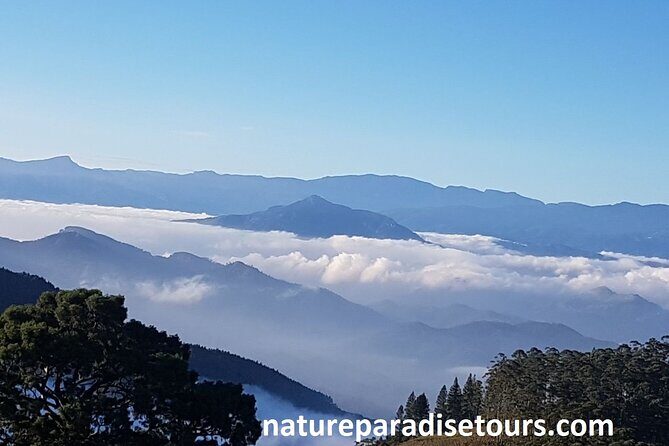 Exclusive knuckles Camping Tour from kandy - Knuckles camping trek in 5 key highlights