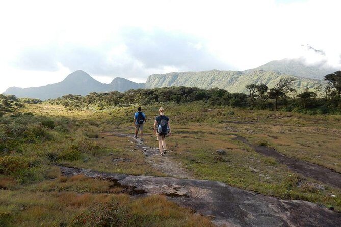 Exclusive knuckles Camping Tour from kandy - The “silent forest” circuit: plateau views and a real sense of place