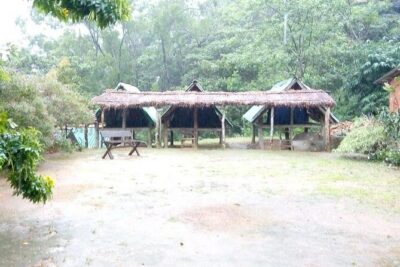 Exclusive knuckles Camping Tour from kandy - Day 1: tea trail trek, wooden bridges, and a picnic by water