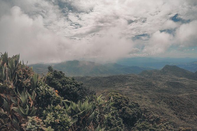 Exclusive knuckles Camping Tour from kandy - Base camp on the eastern slope: the part that makes this tour feel like camping