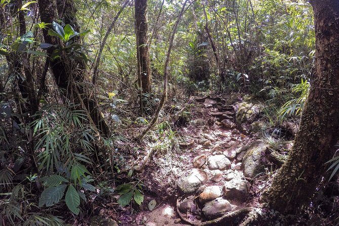 Exclusive knuckles Camping Tour from kandy - Day 2: cloud forest tea plantation views, waterfalls, and a chilly swim
