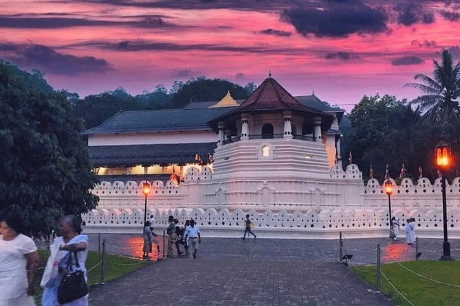 Experience the Beauty and History of Sri Lanka - The Guide Factor: Why Janith and Celestial Sri Lanka Matter