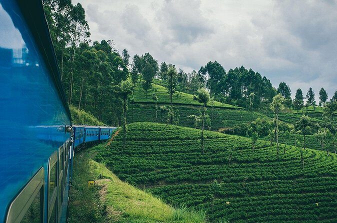 First Class Scenic Train Ticket From Kandy To Ella - On the Tracks: Tea Hills, Misty Forests, and Waterfalls Like Ravana Falls
