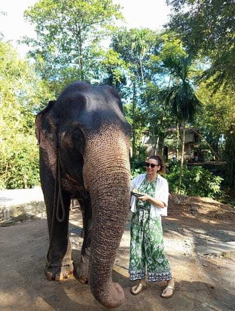 From Colombo or Negombo: Pinnawala, Kandy & Tea Factory Tour - Included extras that quietly improve the day