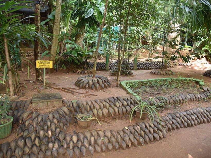 From Kandy: Sigiriya Guided Tuk-Tuk Tour - Key Points That Matter (Before You Book)
