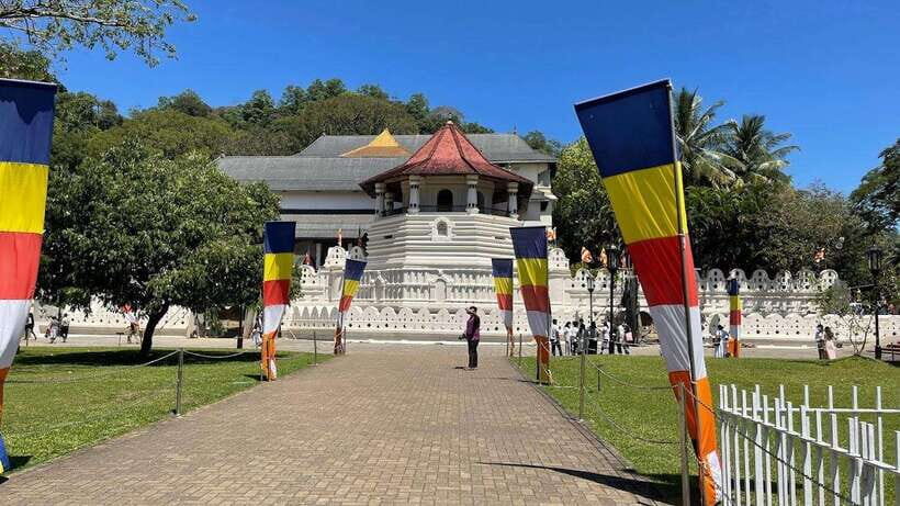 From Negombo : Pinnawala & Tea Factory & Kandy Full Day Trip - Key things to know before you go