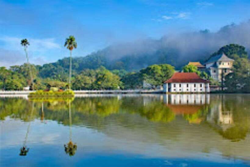 From Negombo : Pinnawala & Tea Factory & Kandy Full Day Trip - Tea Factory and Tea Estate: what you’re tasting comes from the region