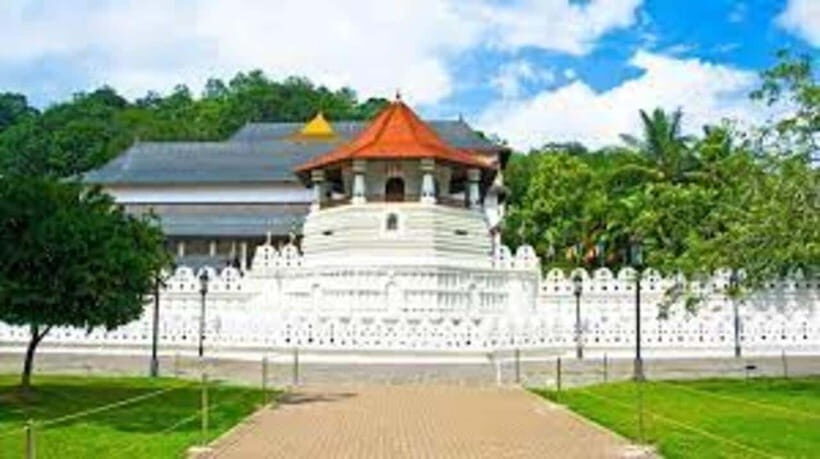 From Negombo : Pinnawala & Tea Factory & Kandy Full Day Trip - Great Kandy Culture dance show: when performance becomes context