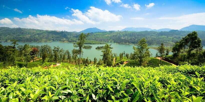 Kandy: Nuwara Eliya Day Trip - Who This Day Trip Fits Best (and Who Might Want Something Else)