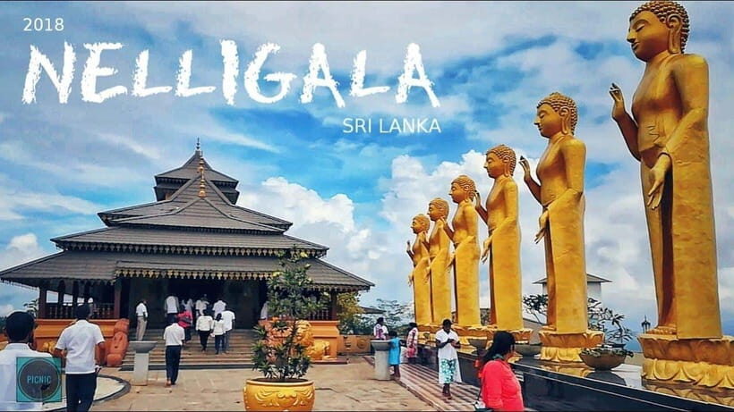 Kandy Private City Tour With Local Guide - Peradeniya’s Royal Botanical Gardens: a greener half-day reset