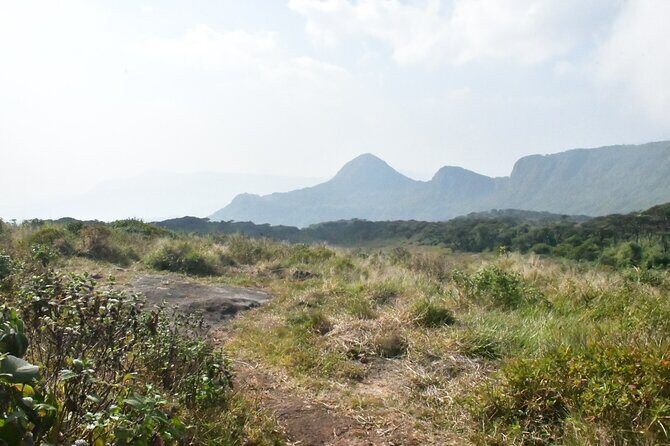 Knuckles Leopard trail Trek from Kandy - Downhill return: finishing strong without rushing