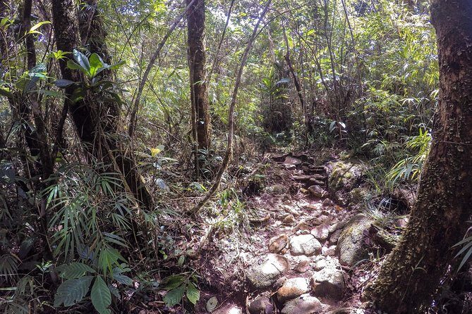 Knuckles Leopard trail Trek from Kandy - Who this trek fits best (and who should be cautious)