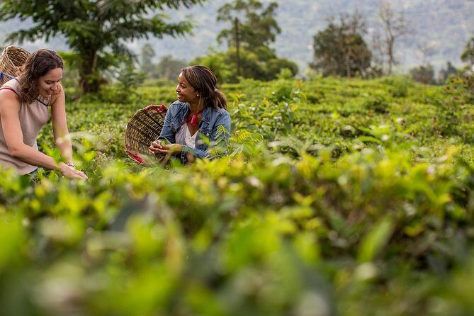 Nuwara Eliya from Kandy by Train - The Post Office Moment and Old-School Souvenirs