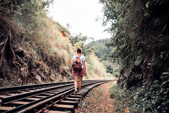 Nuwara Eliya from Kandy by Train - Price and Value: Is $76 a Fair Deal?