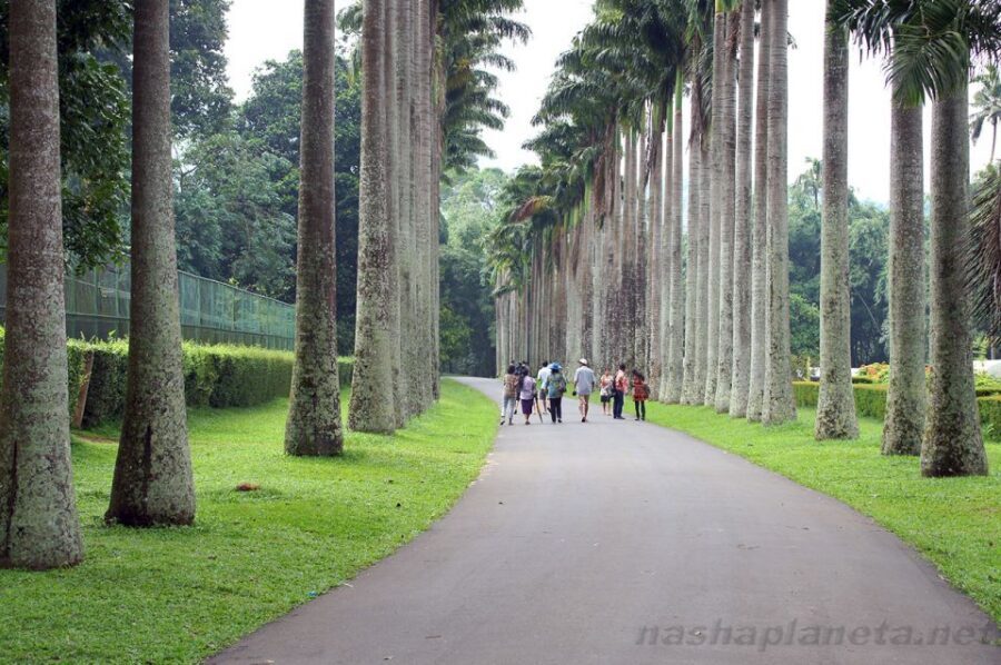 Three Temples Loop In Kandy Day Tour By Tuk Tuk - Lankathilaka Temple: when the architecture pulls you in
